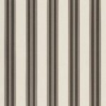 Black Taupe Fancy