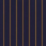 Captain Navy Regimental