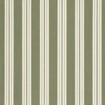Fern Classic