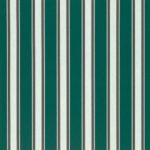 Forest Green Fancy