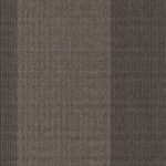 Namib 338640